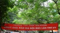 Hình ảnh giải chạy báo Hà Nội mới năm 2012