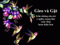 Danh ngôn gieo gặt