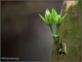 Cảm nhận cuộc sống